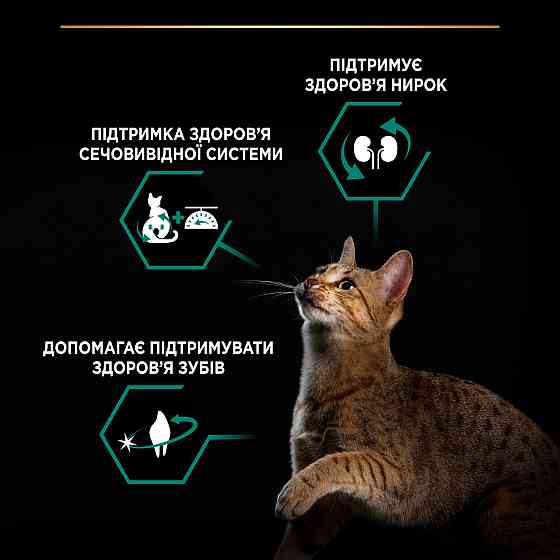 Сухий корм PRO PLAN Sterilised Adult 1+ Renal Plus для дорослих стерилізованих котів, з індичкою, 10 кг Київ