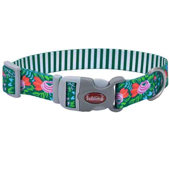 Coastal Sublime КОСТАЛ СУБЛИМ ошейник для собак, 1.9x30см Киев
