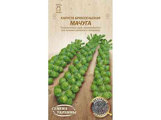Капуста брюссельська МАЧУГА 0,5г (20 пачок) (пс) ТМ НАСІННЯ УКРАЇНИ Київ