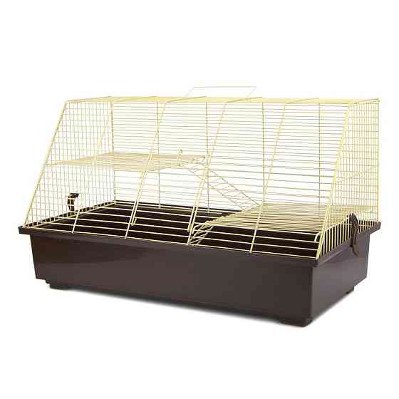 Клетка Щурик для декоративных грызунов средних размеров (57.5 х 30 х 31.5 см), Лори Киев