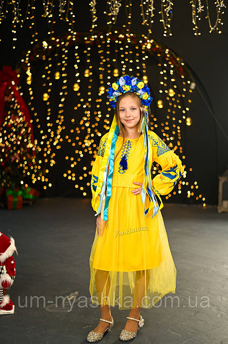 Дитяча вишита сукня з ластівками Кривий Ріг - фото 2