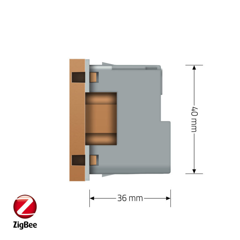 Розумна розетка LIVOLO ZigBee, з заземленням, золота, 16А 230В, керування через Alexa / Google Home / Home Assistant, модуль (VL-FCTC16AZ-2AP) Коломыя - изображение 2