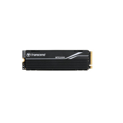 Накопичувач SSD M.2 2280 1TB Transcend (TS1TMTE250H) Вінниця - фото 1