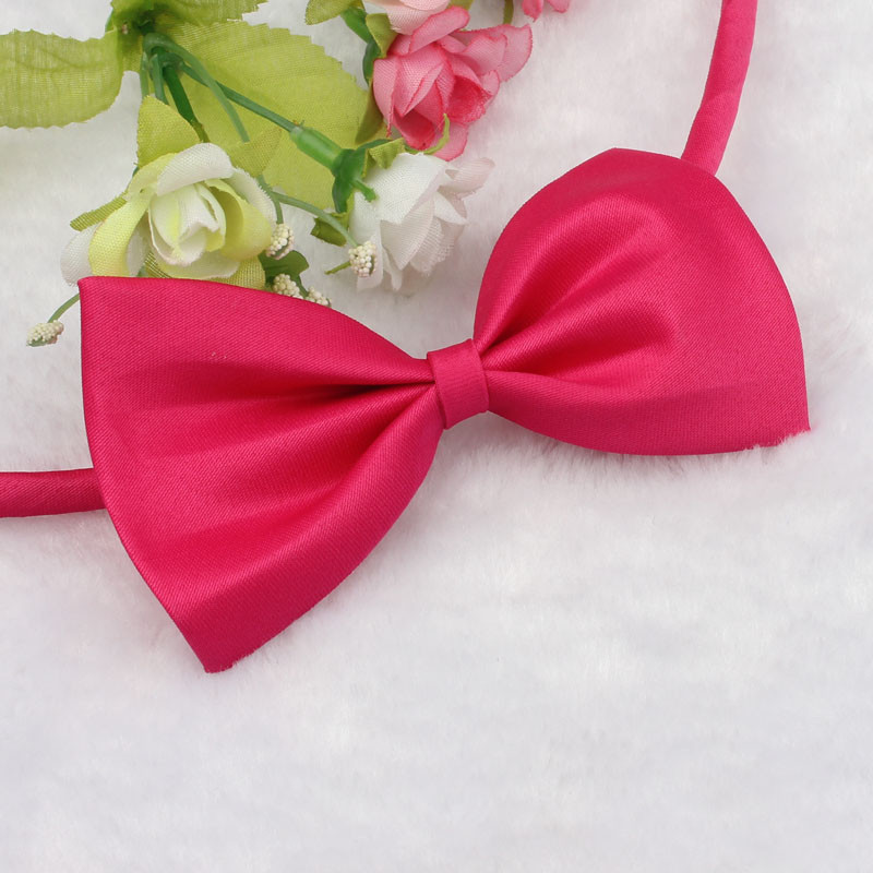 Метелик для собаки або кішки малинова Київ - фото 1