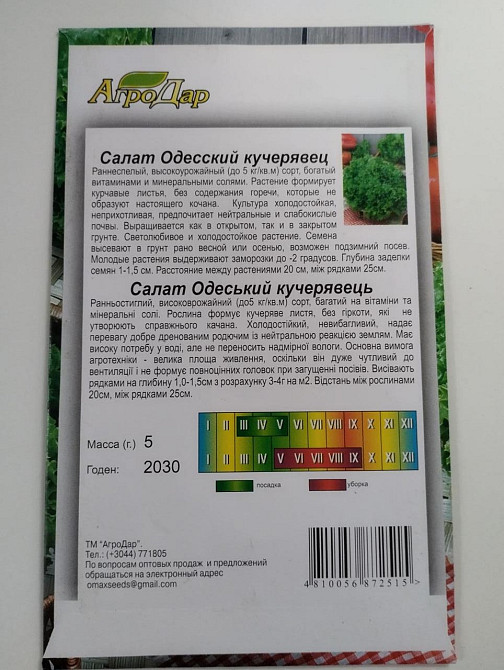 Салат 