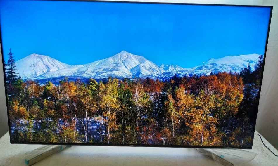 Телевизор Безрамный: 65