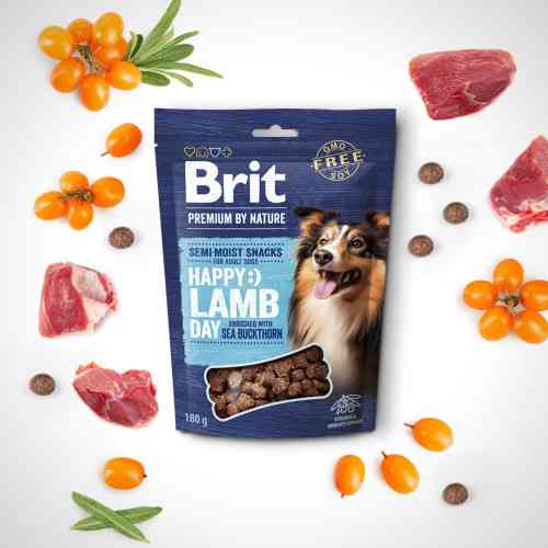 Лакомство Brit Premium Semi-moist Snacks Lamb with Sea Buckthorn полувлажные для собак с ягненком и облепихой 180 г Киев