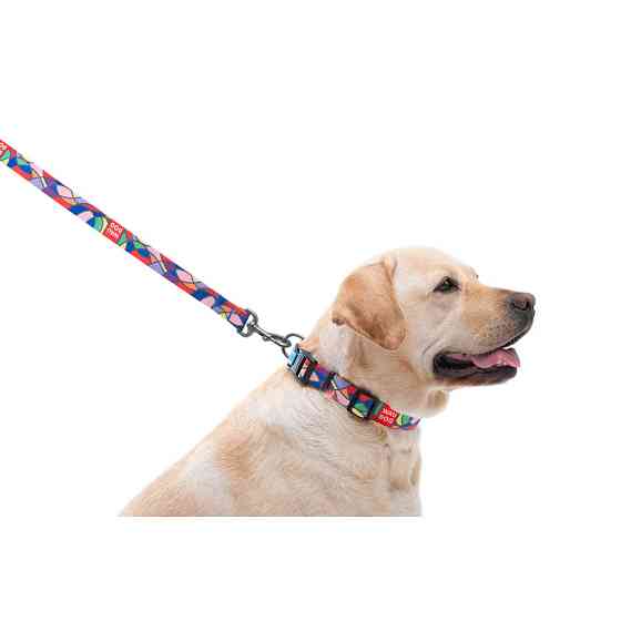 Повідець для собак нейлоновий WAUDOG Nylon, малюнок "Вітраж", Ш 20 мм, Дов 122 см Коломия