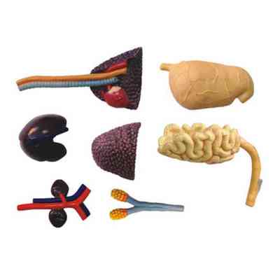 Пазл 4D Master Master Тиранозавр (FM-622013) Винница