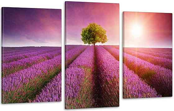 Модульна картина Природа Лаванда Art-48_3 Київ