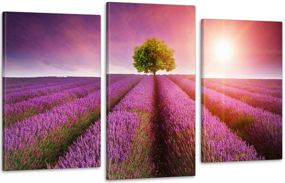 Модульная картина Природа Лаванда Art-48_3 70x130 см Киев - изображение 1