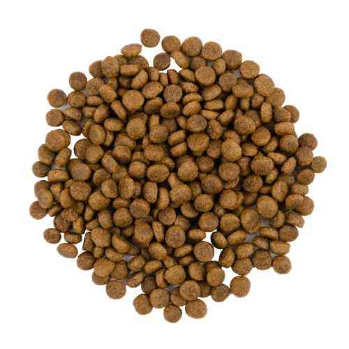 Корм сухий Savory Adult Cat Gourmand Fresh Turkey and Duck для дорослих котів зі свіжою індичкою і качкою 400 г Київ