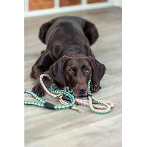 Поводок Trixie Cavo для собак L–XL 1 м диаметр 18 мм розово-песочный. Киев