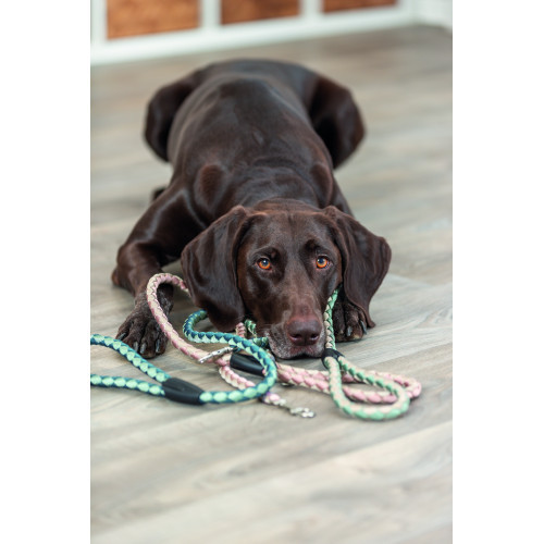 Поводок Trixie Cavo для собак L–XL 1 м диаметр 18 мм розово-песочный. Киев - изображение 2