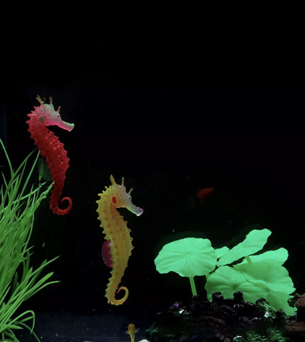 Морской конек желтый, силиконовый и люминисцентный (светящийся )декор в аквариум - размер 10*5 см Киев - изображение 5