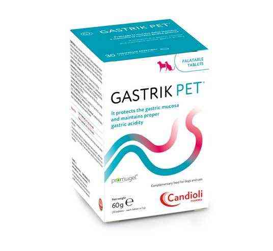 Candioli Gastrik pet (Гастрик пет) для котів і собак 30 таб (60 г) Вінниця