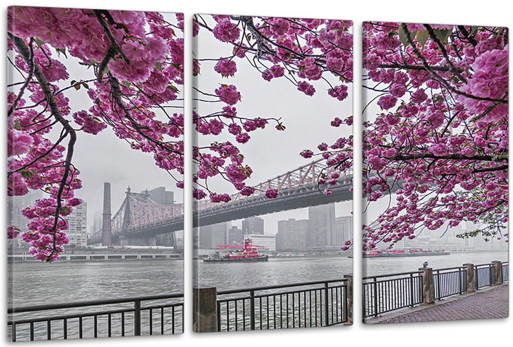 Модульная картина в гостиную / спальню  Сакура     ART-252_3A 70х130 см Киев - изображение 1