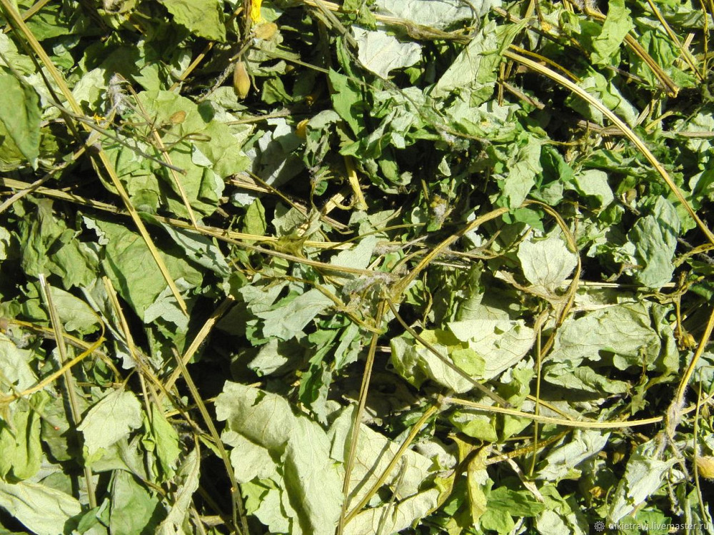 Чистотіл (Чистотел) 100г master sem Київ - фото 2