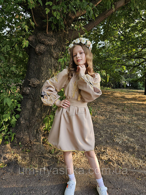 Детский платье вышиванка с ласточками и колосками 