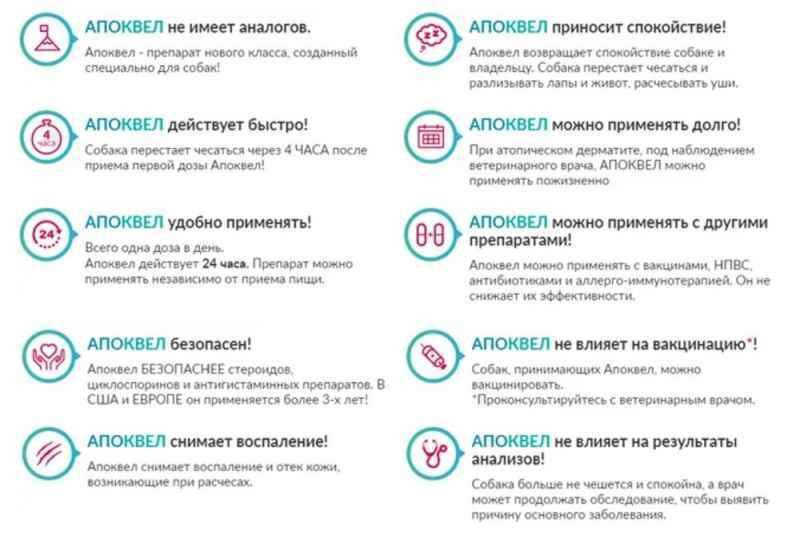 Apoquel by Zoetis (Апоквел Зоэтис) Препарат против зуда у собак при аллергии 5.4 мг. (10 таблеток) Запорожье - изображение 5