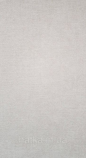 Шпалери вінілові на флізеліні AS creation Amber метрові однотонні ефект розмитості матові бежеві Київ - фото 1