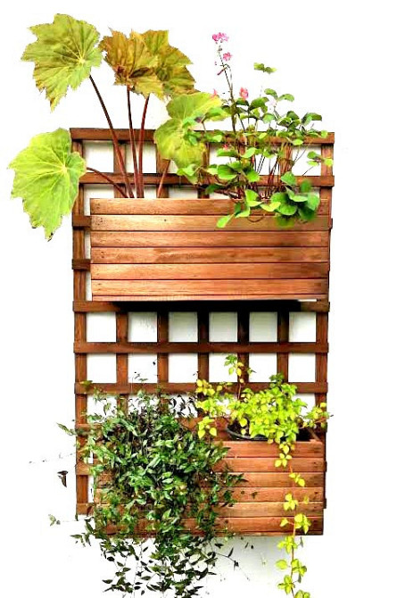 Полиця настінна для квітів "Курітіба" капучино Миколаїв - фото 1