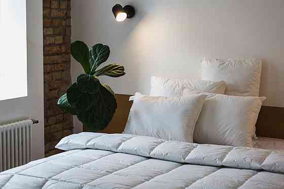 Ecotton Ковдра Ecotton Ecofill Premium 140х205 см полуторна антиалергенна з біопухом біла в чох Коломия