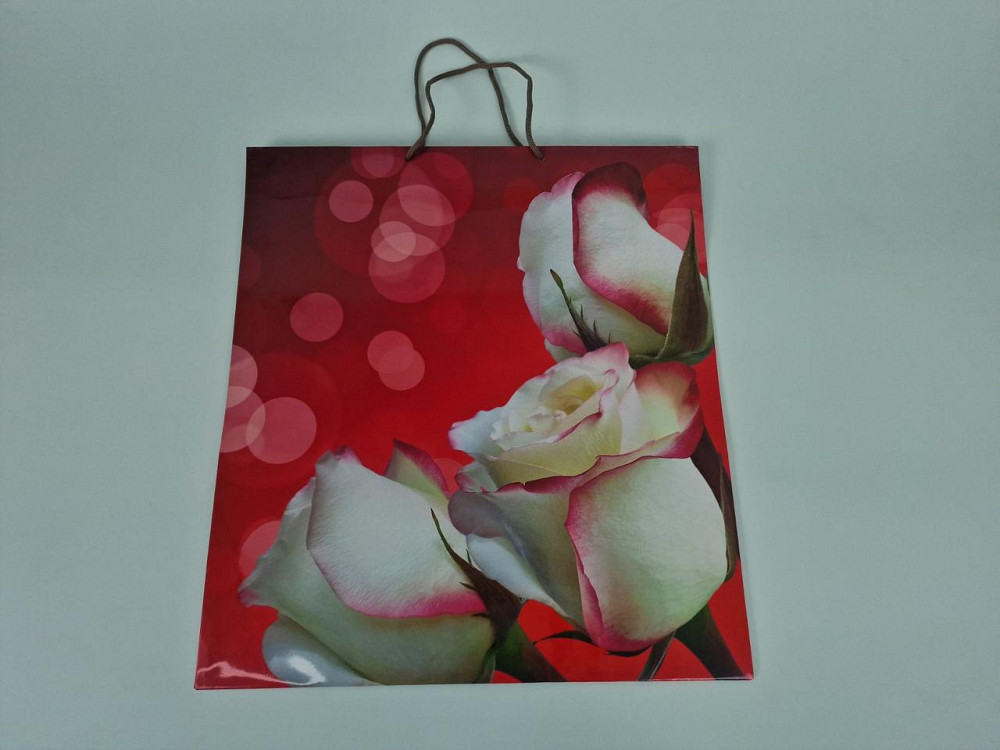 Пакет паперовий Супер 47x52x20(артS-002) (12 шт) Харків - фото 2