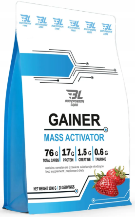 Гейнер Bodyperson Labs Gainer 2000 г зі смаком полуниці Київ