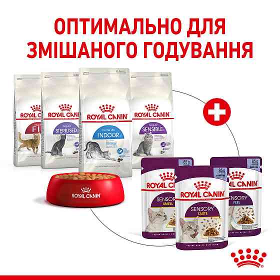 Вологий корм для дорослих котів ROYAL CANIN SENSORY SMELL JELLY 0.085 кг, стимулює нюхові рецептори Київ