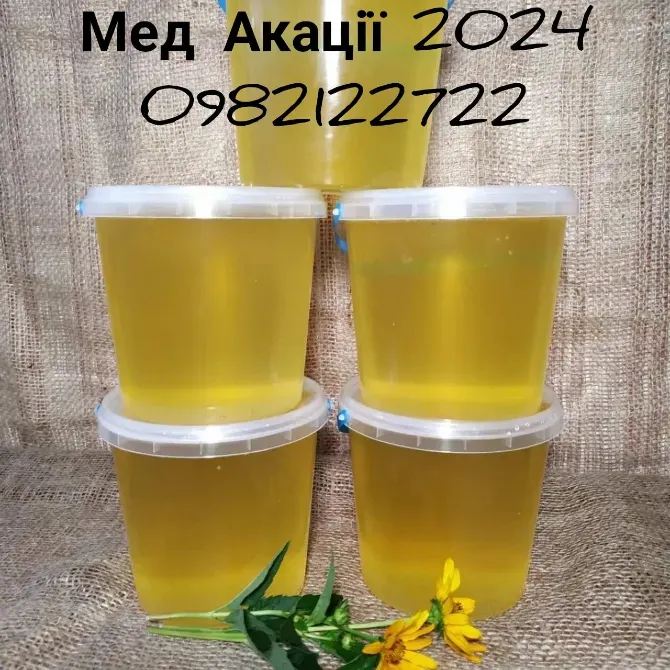 Бджолине Маточне Молочко Новомосковськ - фото 4