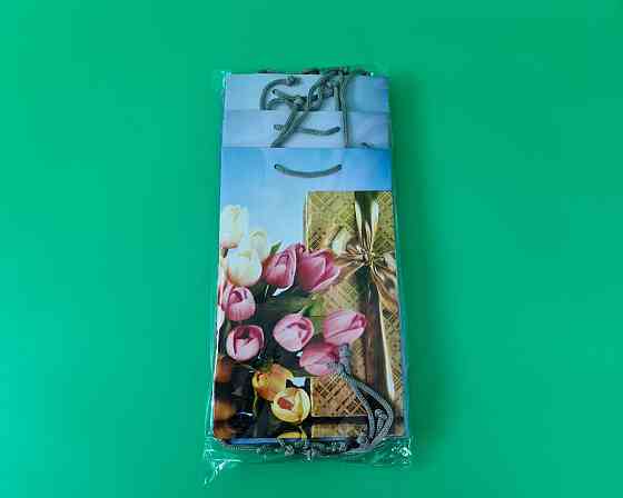 Паперовий пакет подарунковий Середній 17/26/8 (артSV-102) (12 шт.) Харків