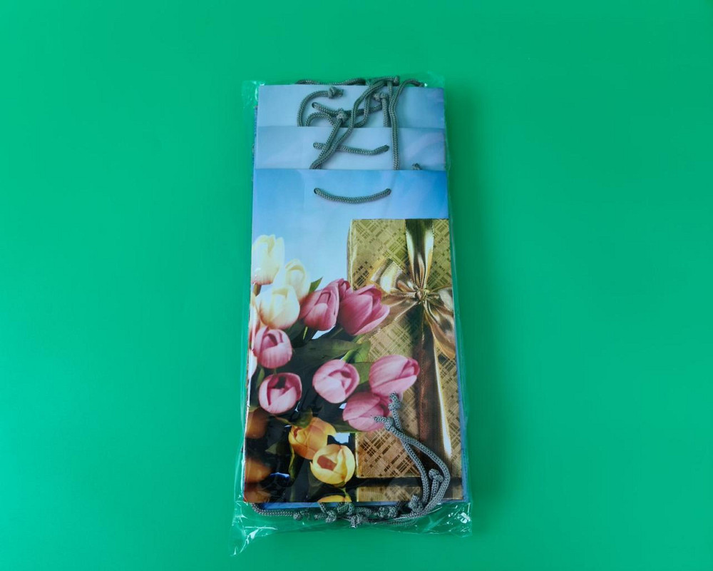 Паперовий пакет подарунковий Середній 17/26/8 (артSV-102) (12 шт.) Харків - фото 2