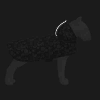 Дощовик для тварин WAUDOG Clothes Накидка з капюшоном Апельсини XS (355-4054) Вінниця