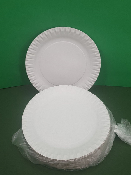 Одноразові тарілки паперові діаметр 170 мм (100 шт.) Харків - фото 2