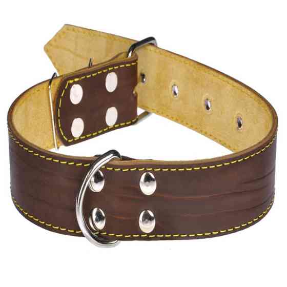 Нашийник 616 40 мм "Класик" шкіряний подвійний Вінниця