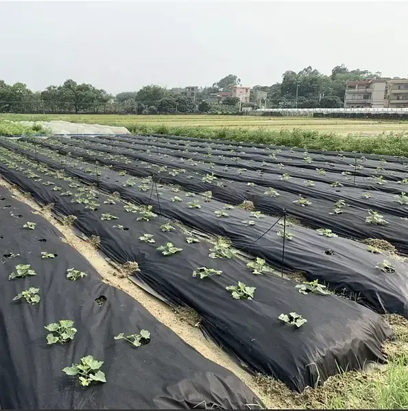 Агроволокно 50 г/м², 1.07×100 м чорно-біле з перфорацією 2 отвори Дніпро - фото 8