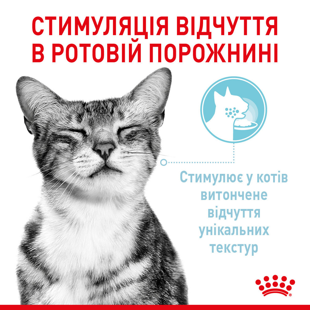 Вологий корм для дорослих котів ROYAL CANIN SENSORY MULTIPACK GRAVY, 12 паучів Київ - фото 4