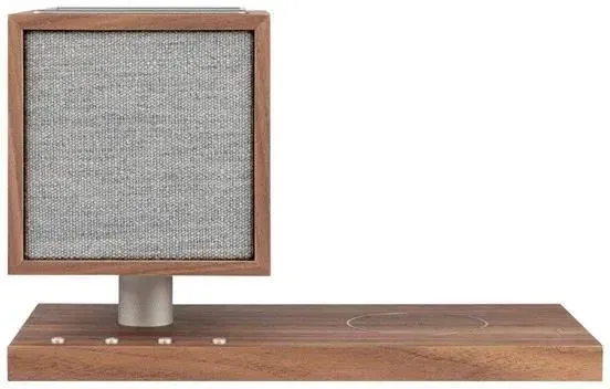 Портативная колонка Tivoli Audio Art Revive (Revwal) Киев