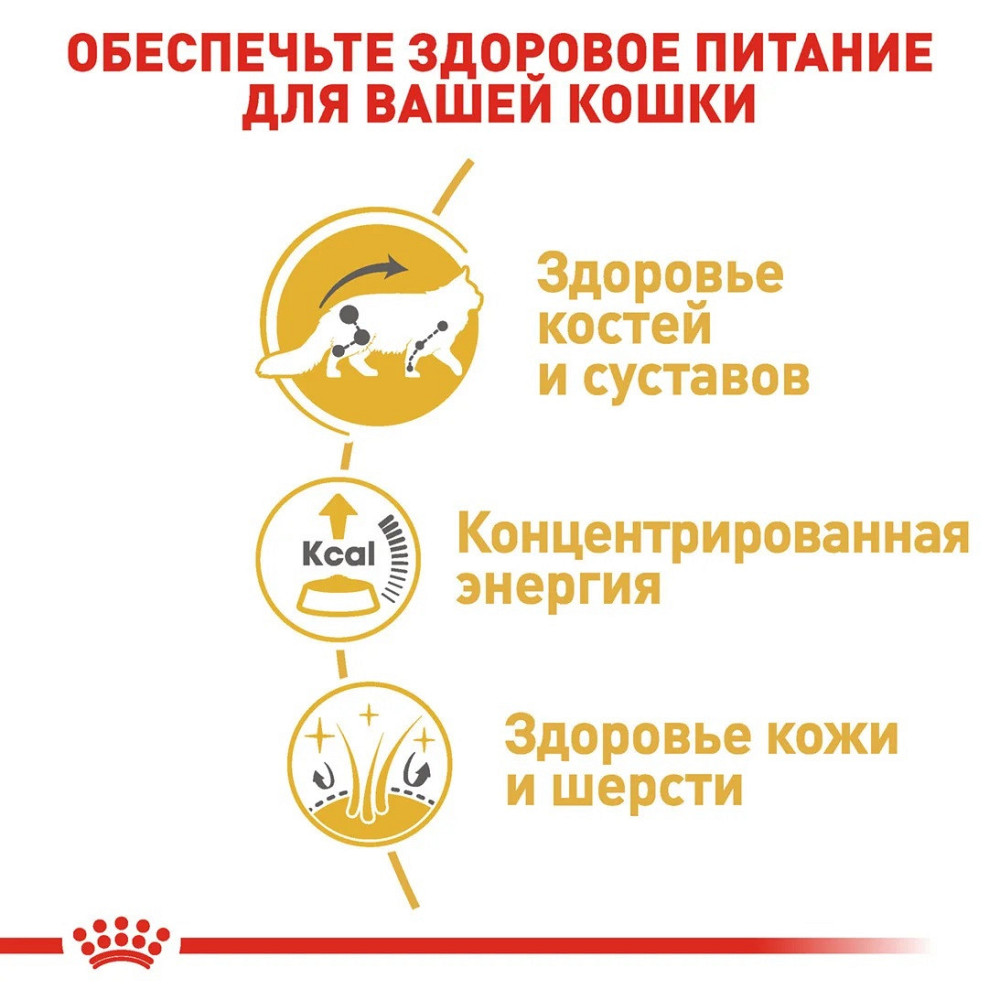 Royal Canin Maine Coon (Роял Канін Мейн Кун Едалт) вологий корм для кішок мейн-кун 85 г х 12 шт. Запоріжжя - фото 3