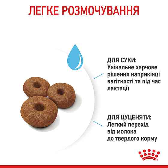 Корм для новорожденных щенков больших пород собак ROYAL CANIN MAXI STARTER 4 кг Киев