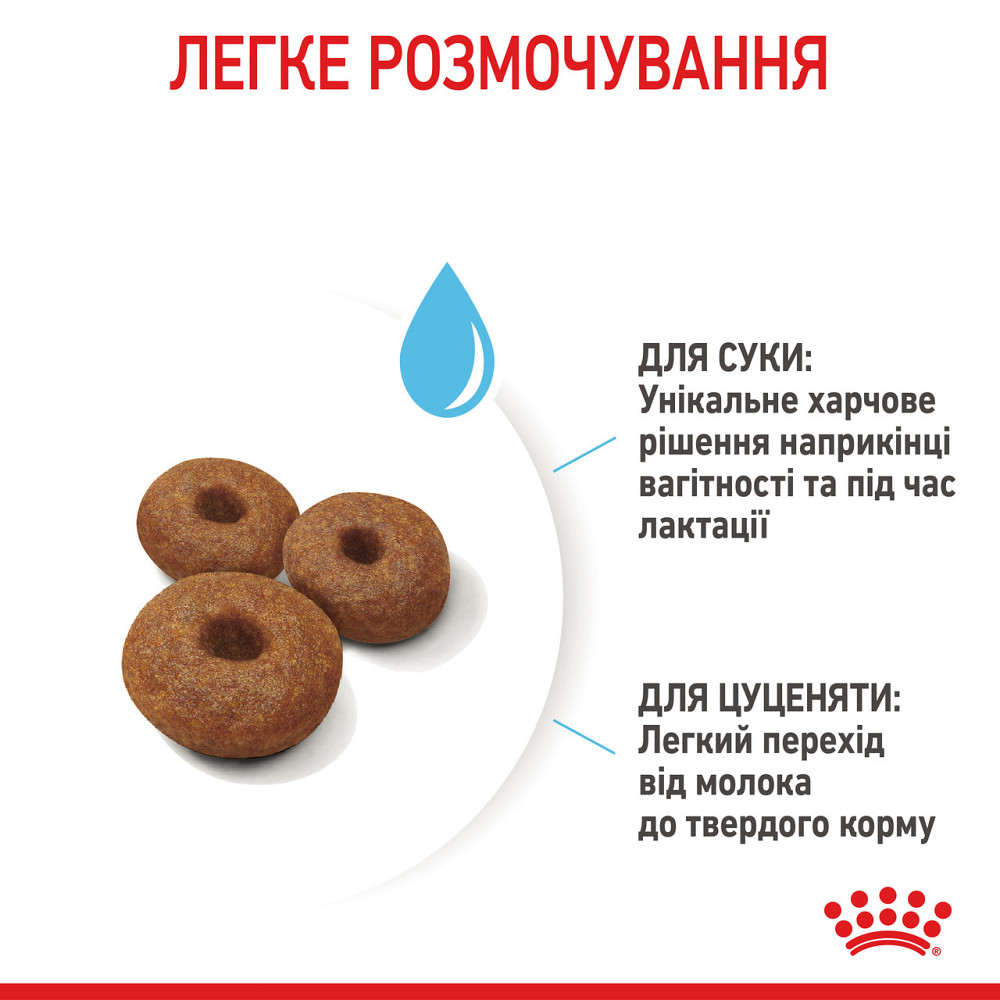 Корм для новорожденных щенков больших пород собак ROYAL CANIN MAXI STARTER 4 кг Киев - изображение 5