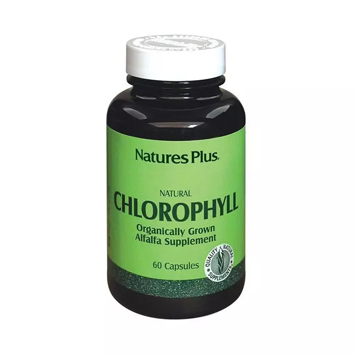 Хлорофилл Chlorophyll 600 мг 90 капсул Киев - изображение 2