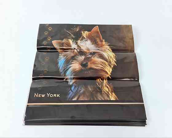 Полиэтиленовый пакет (40х40) с пластиковой ручкой