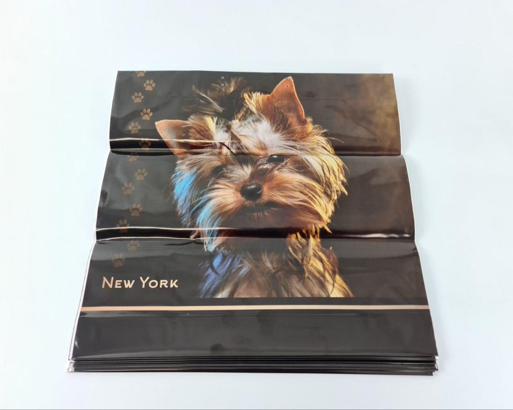 Полиэтиленовый пакет (40х40) с пластиковой ручкой