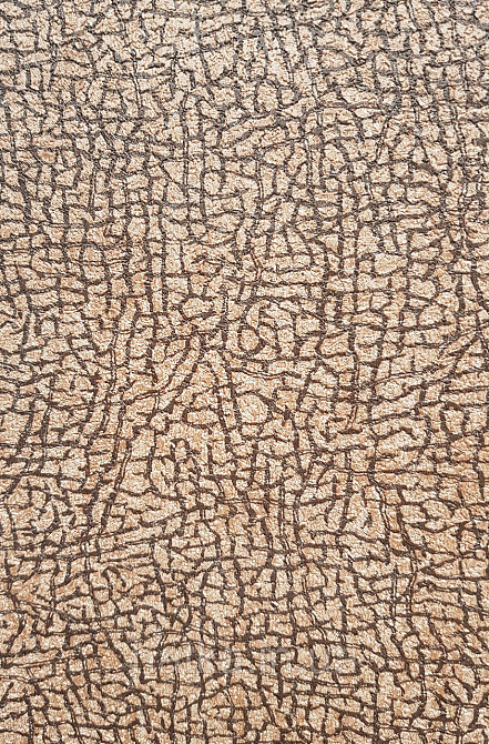 Шпалери вініл на флізеліні гарячого тиснення DU&KA Natura1.06х10 абстракція під шкіру смужки коричневі Київ - фото 2