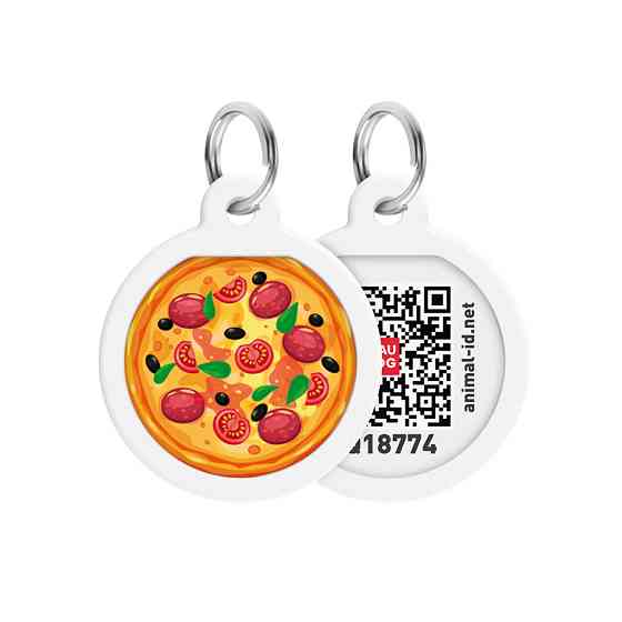 Адресник для собак и котов металлический WAUDOG Smart ID с QR паспортом, рисунок 
