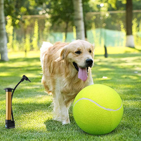 Великий тенісний м’яч 24 см з насосом у комплекті — іграшка для собак і дітей, для активного відпочинку на природі Київ - фото 1