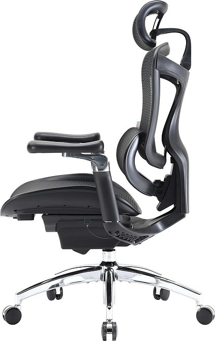Крісло офісне Sihoo Doro C300 Pro Mesh Black (DORO-C300-PRO-M101) ( 17925 ) Харків - фото 4