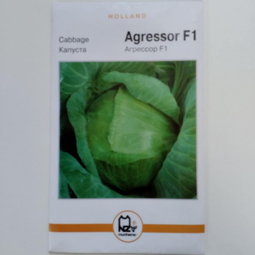 Капуста "Агресор F1" Голландія 5 гр Харків - фото 1